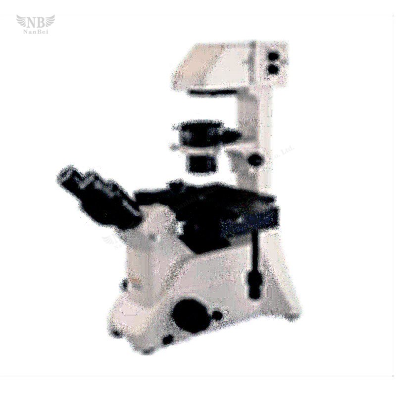 BDS300 Inverted Microscope