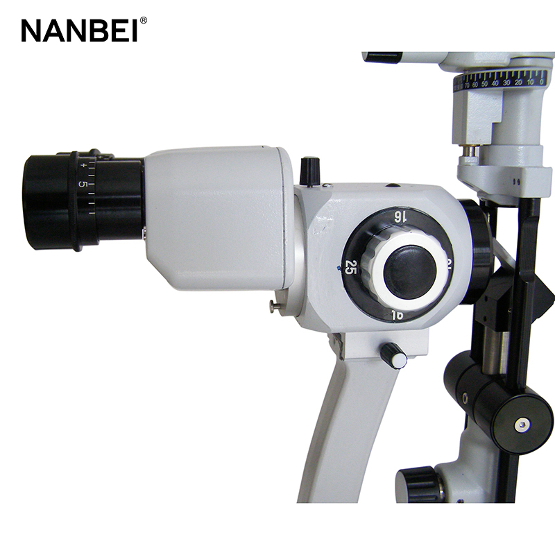 binocular microscope