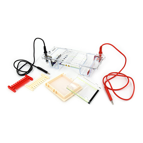 DYCP-31CN Electrophoresis Cell