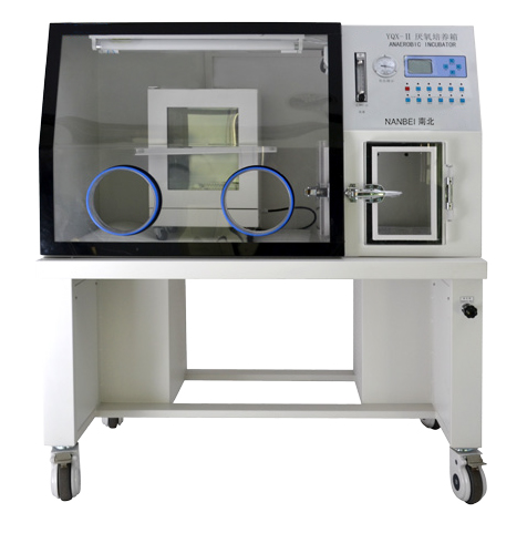 Anaerobic Incubator