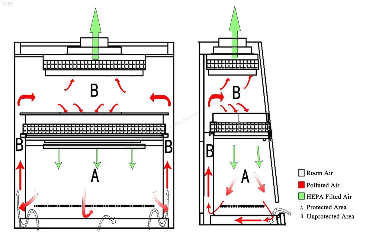 Biological safety cabinet a2