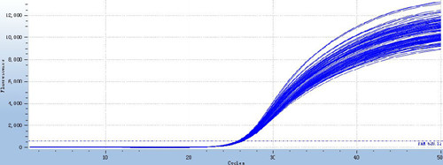 dna pcr thermal cycler