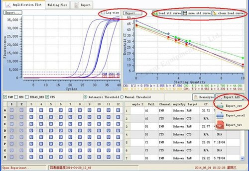 real time pcr system