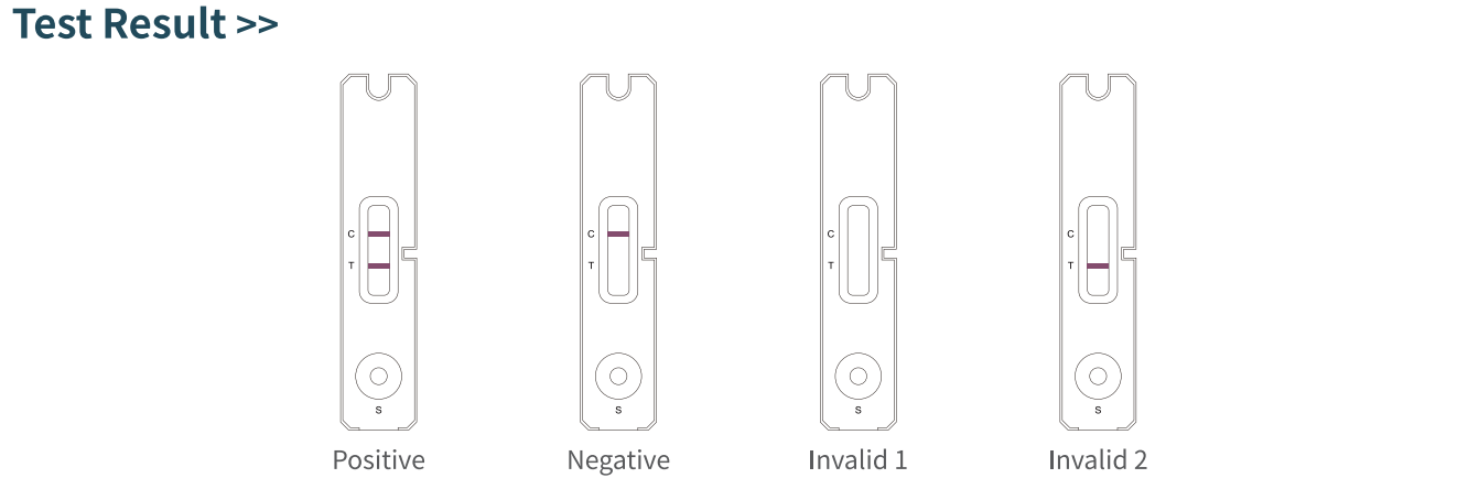 Professional SARS-CoV-2 Neutralizing Antibodies